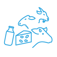 Production laitière