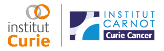 Institut Curie