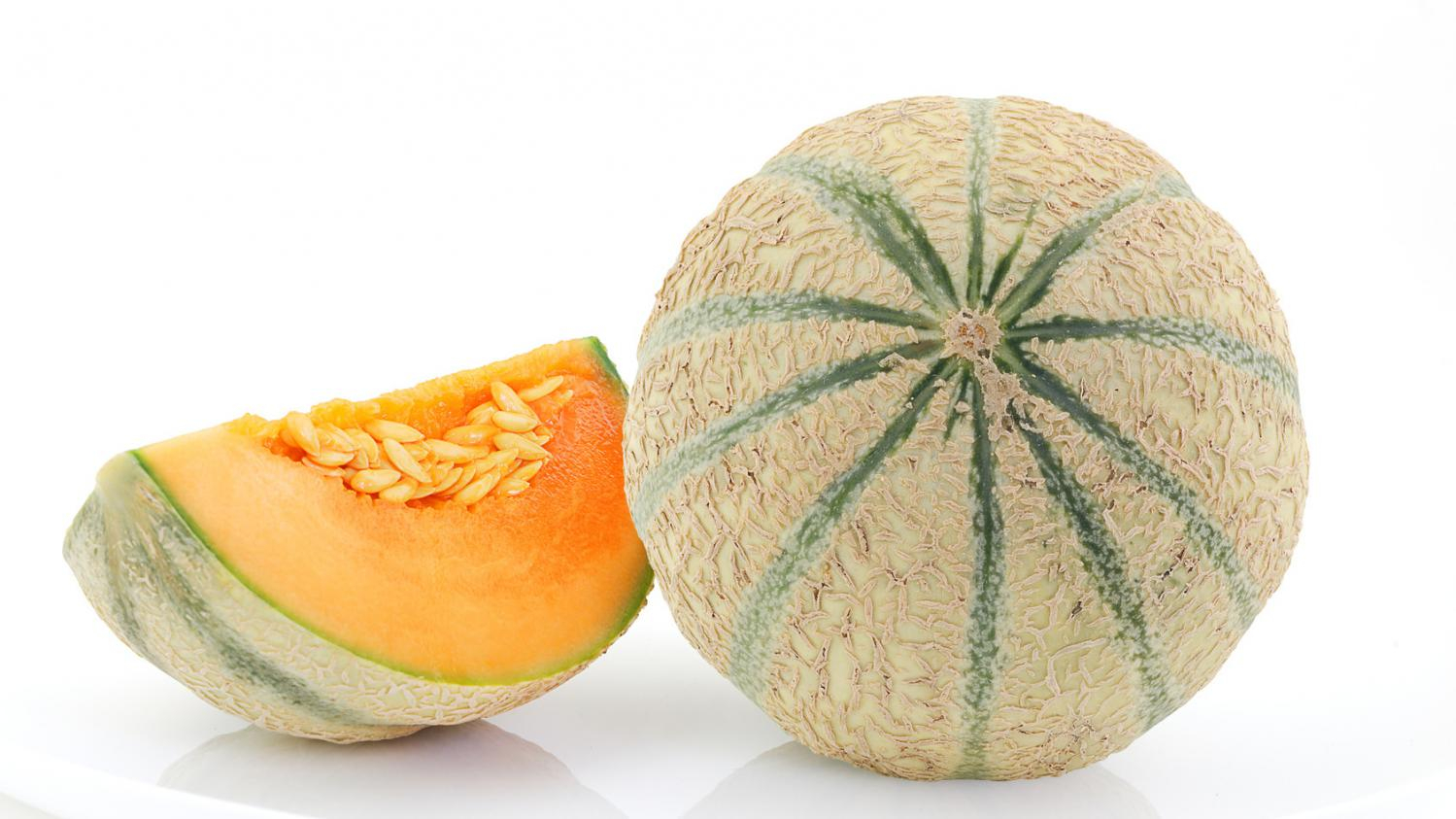 MELON