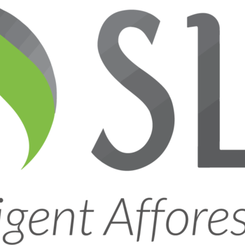 GROUPE SLB