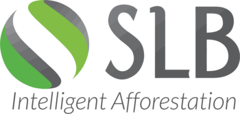 GROUPE SLB