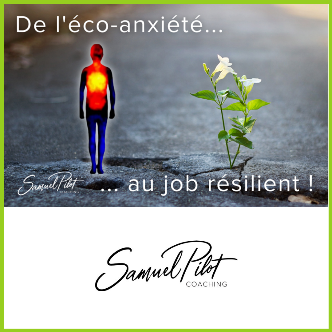 Canaliser son éco-anxiété