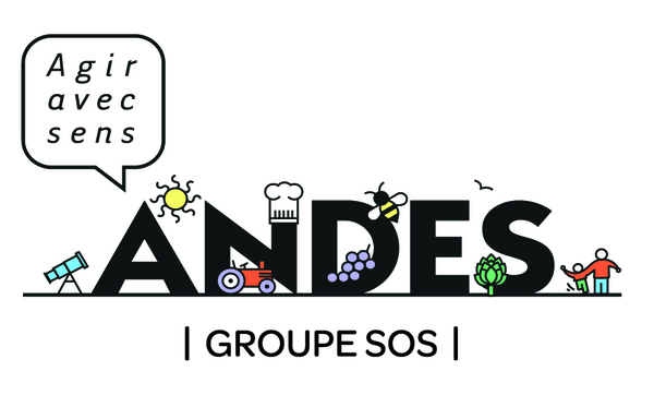Les épiceries solidaires, bien plus qu’une aide alimentaire !