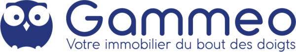 Comment piloter et optimiser l'immobilier de vos ESMS ? (2eme session)