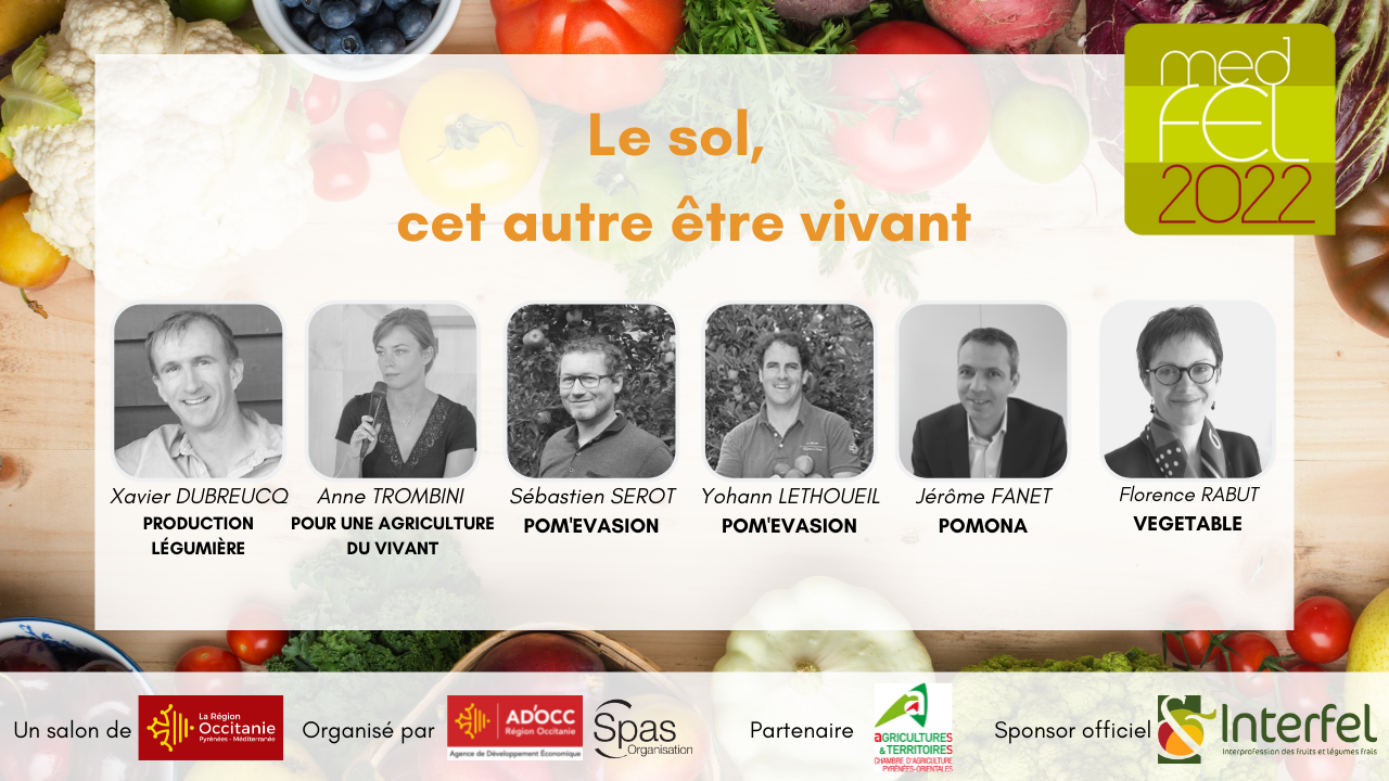 Le sol, cet autre être vivant