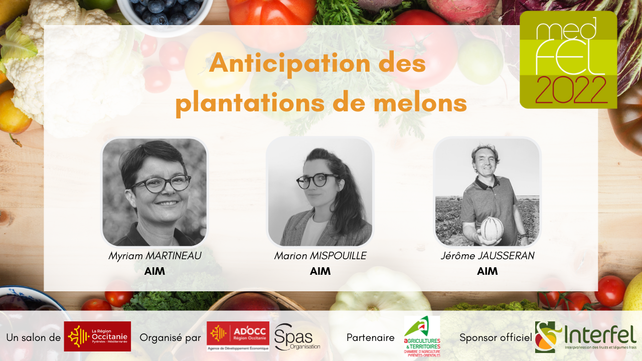 Anticipation des plantations de melons