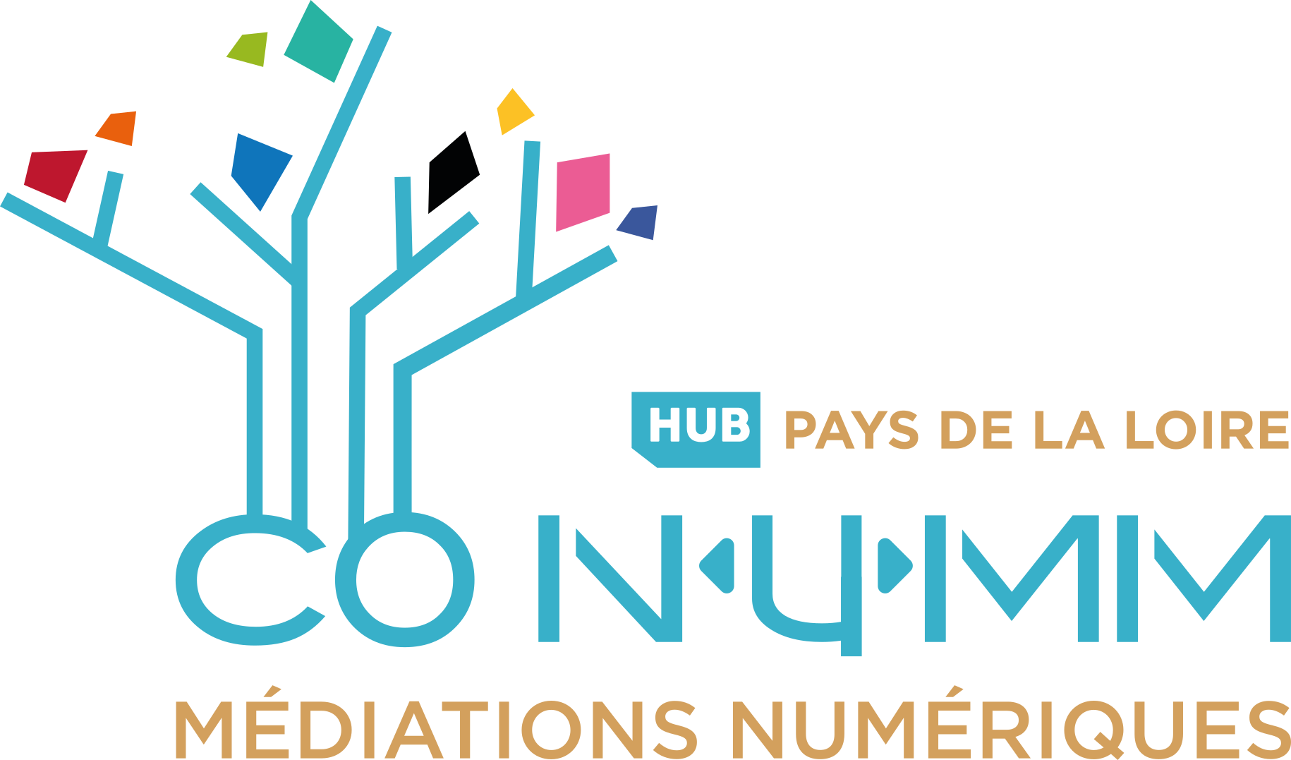 Logo Hub Conumm