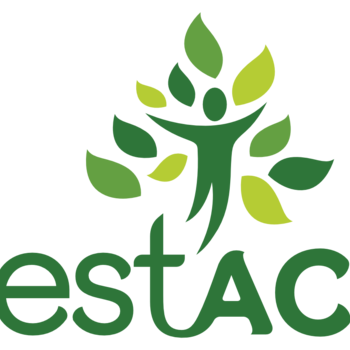 REFORESTACTION