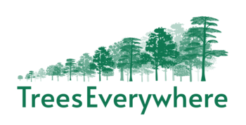 TREES EVERYWHERE