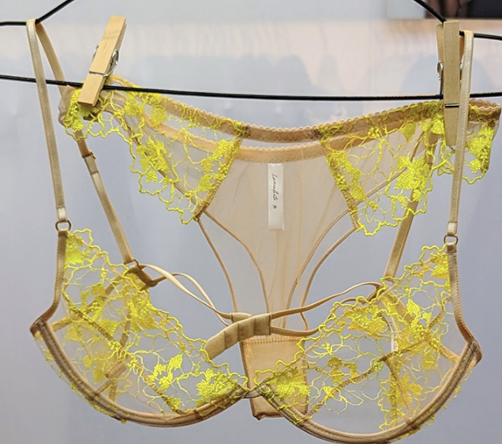 Curve NY: 100+ Images Tell the Story - Lingerie Briefs ~ by Ellen