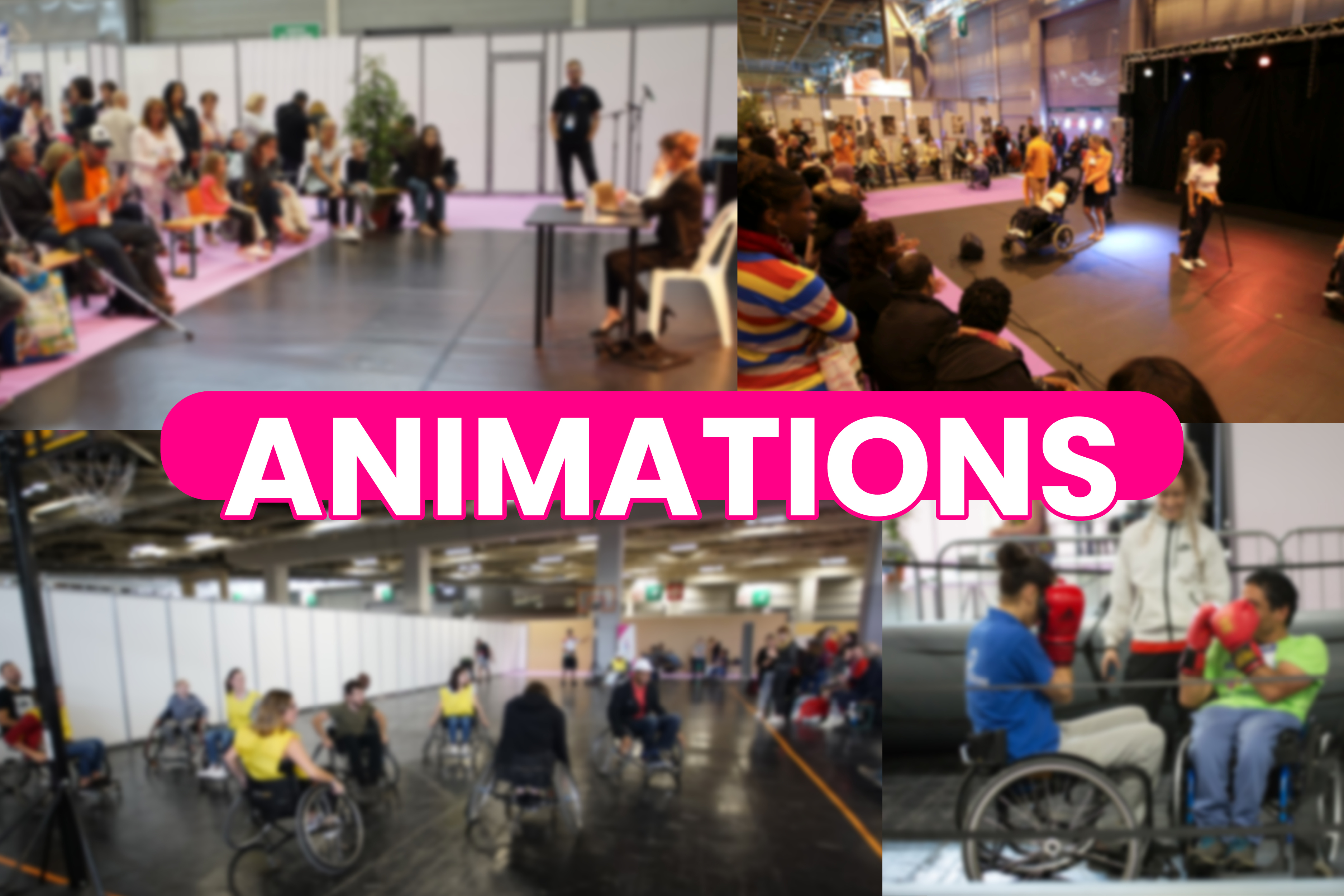 illustration animations