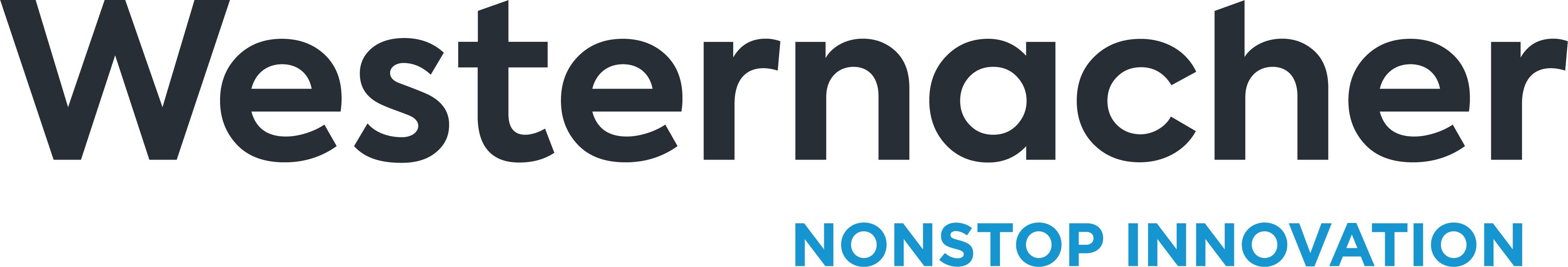 WESTERNACHER CONSULTING