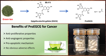 ProEGCG: Prodrug for safe and effective treatment of endometrial cancer