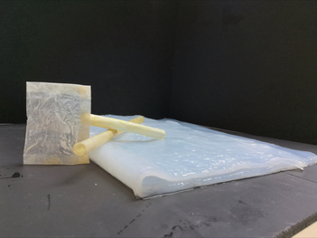 BactOpack – Cycle to convenience