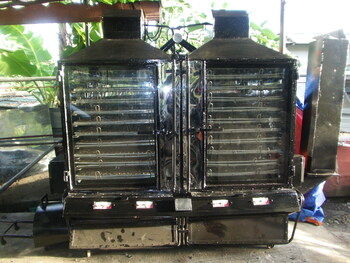 Multi-Fuel Dryer