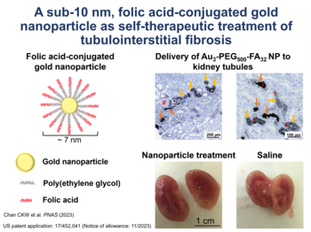 Gold nanoparticle for treating chronic kidney diseases