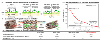 Next-Gen Mg-ion battery: Low cost and high energy density