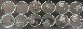 Carboxymethyl Hyaluronic Acid (CMHA) Hydrogels