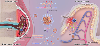 Cinnamaldehyde polymeric prodrug for the treatment of inflammatory diseases