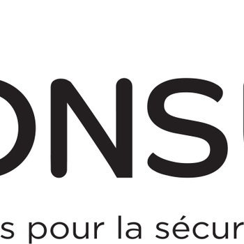 COMITÉ NATIONAL POUR LA SÉCURITÉ DES USAGERS DE L'ÉLECTRICITÉ - CONSUEL