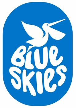 BLUE SKIES HOLDINGS LTD