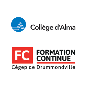 Formation en Innovation numérique