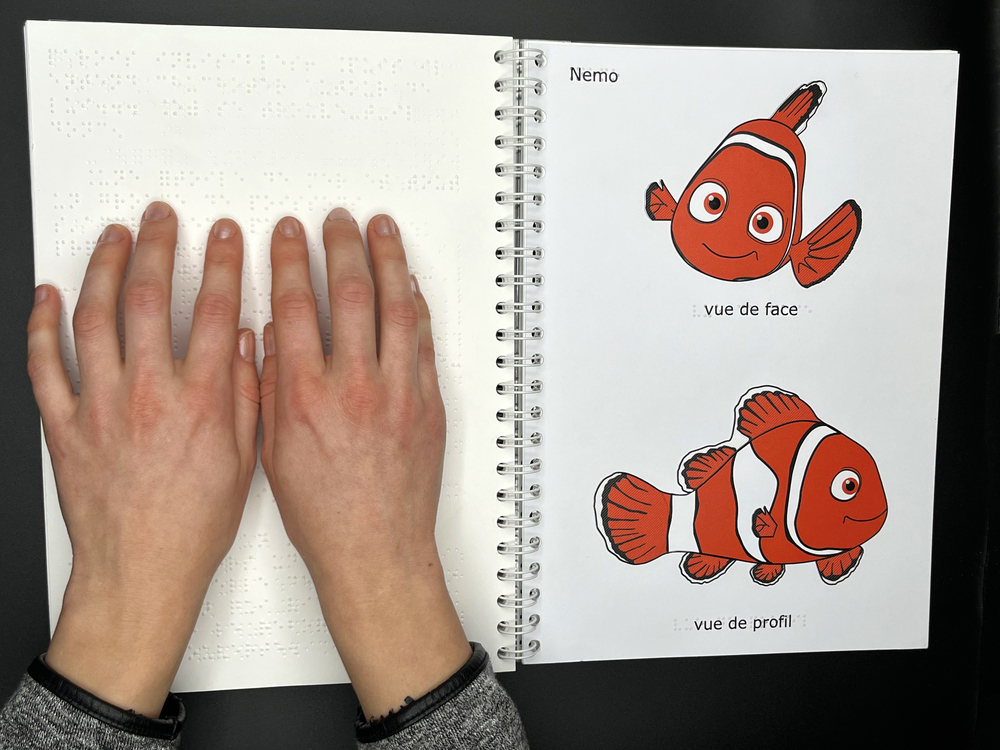 LIBRAIRIE BRAILLE