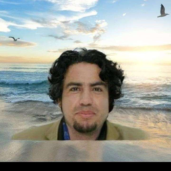 waleed ebraheem