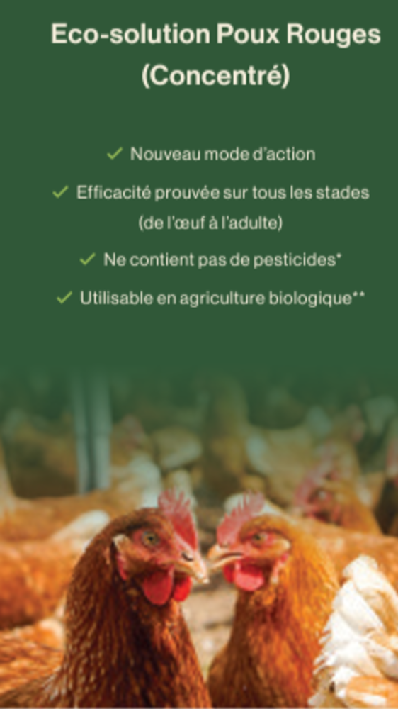 Traitement bio-insecticides Poux Rouges et insectes rampants