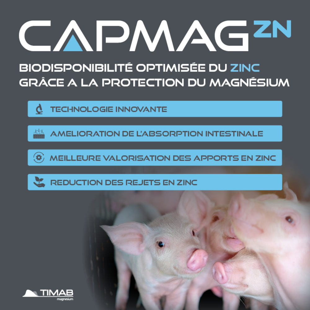 CAPMAG® Zn - Biodisponibilité optimisée du zinc grâce à la protection du magnésium