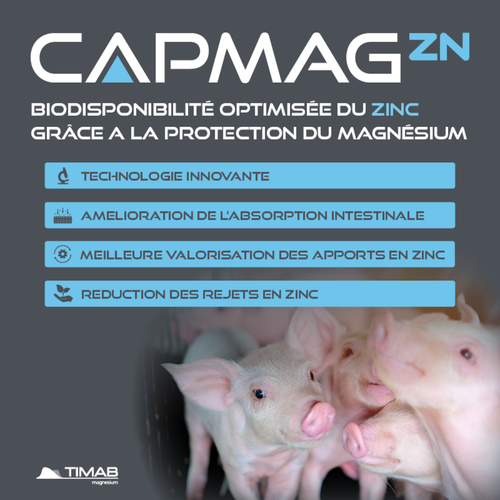CAPMAG® Zn - Biodisponibilité optimisée du zinc grâce à la protection du magnésium​