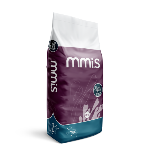 MMIS