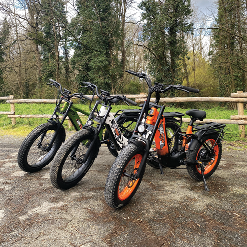 Bicicletas eléctricas Agricycles