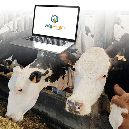 WEFEED RUMIANTES