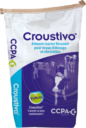 Croustivo® : Aliment starter gourmand pour les génisses 