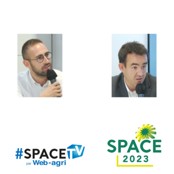 2023-TV-JA