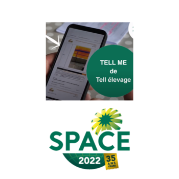 2022-IS-Tell