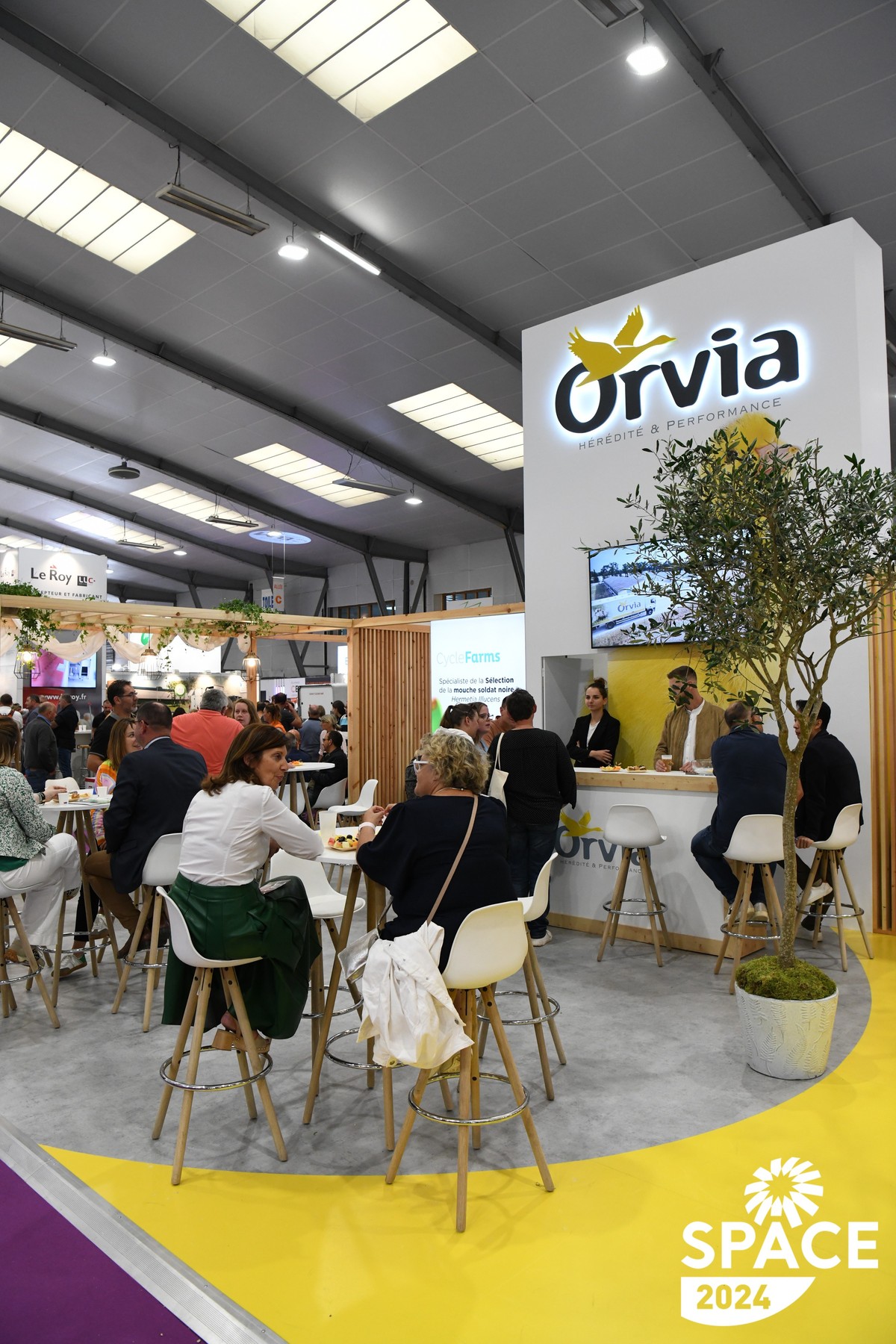 hall10-orvia.JPG