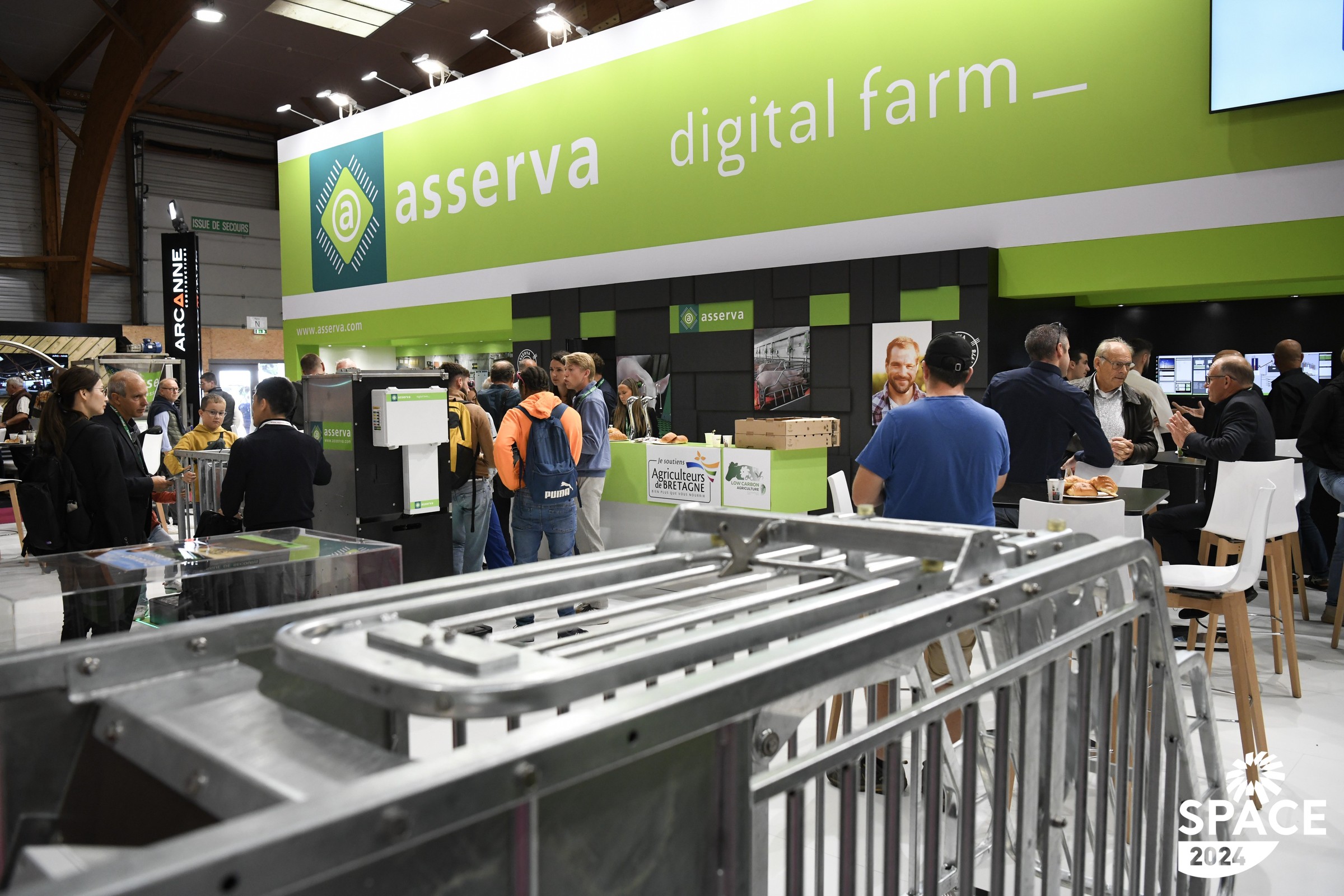 hall8-asserva.JPG
