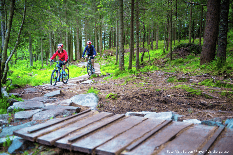 image of the NHH rector with green background