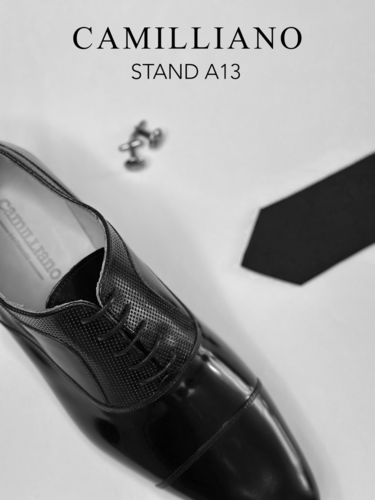 Camilliano