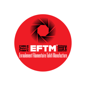 Logo EFTM