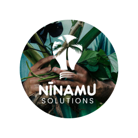 Logo Nīnamu Solutions
