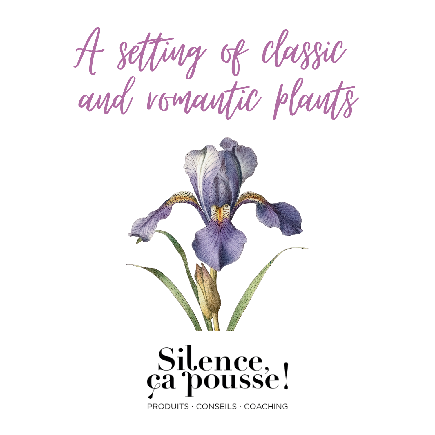 Picto silence ça pousse