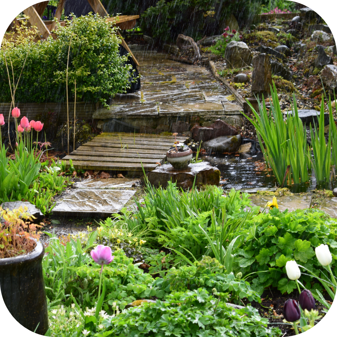 Photo d'un jardin ruisseau