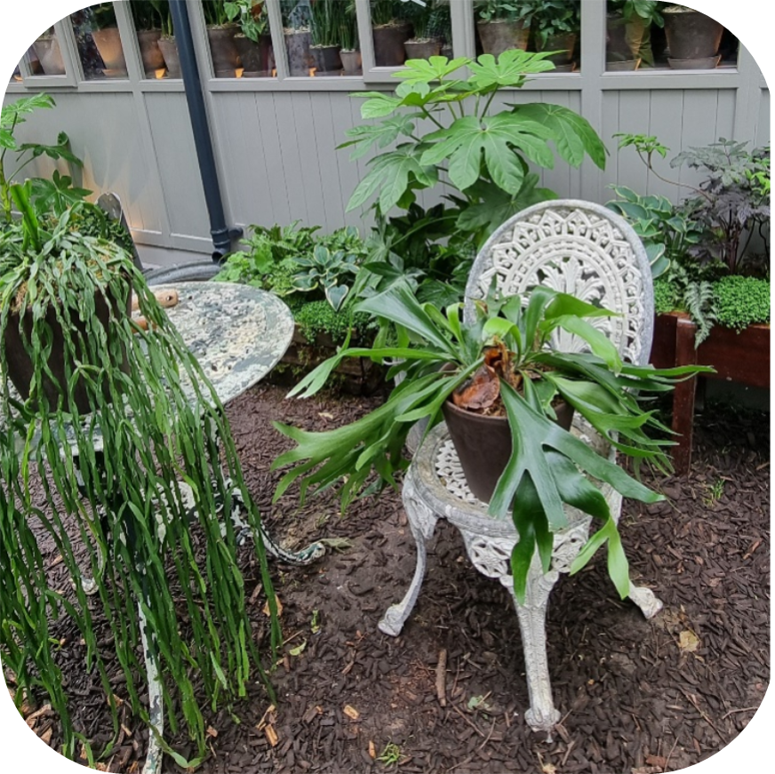 Image jardin tendances