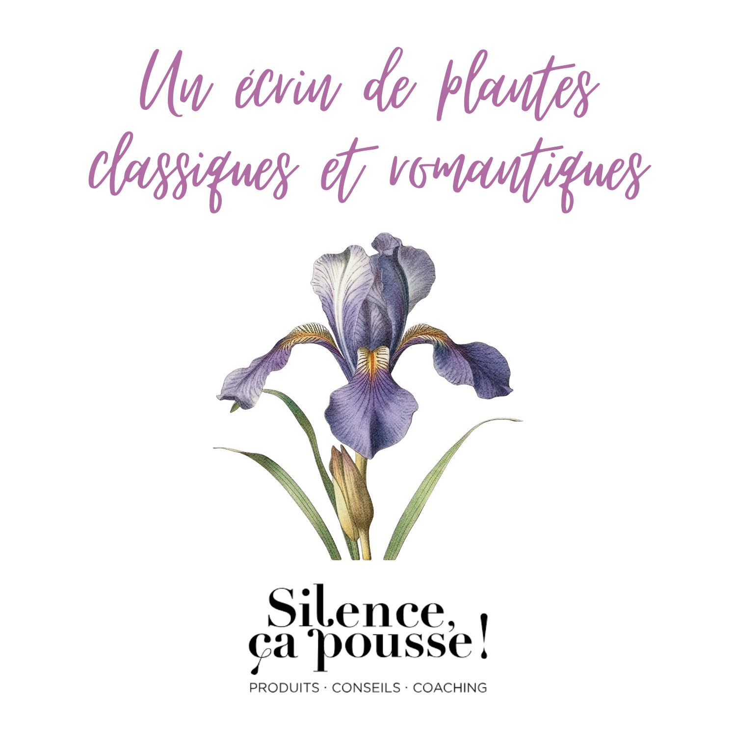 Picto silence ça pousse