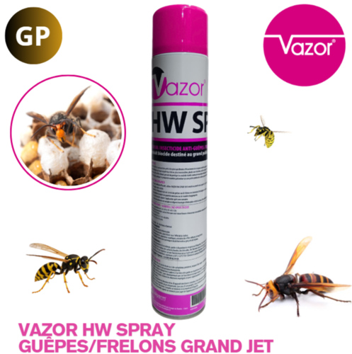 VAZOR® HW SPRAY AÉROSOLS 750ML GRAND JET