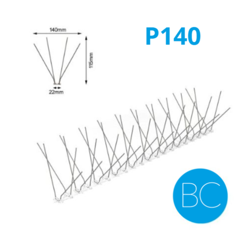 PICS PIGEONS BC CACTUS P140 50M