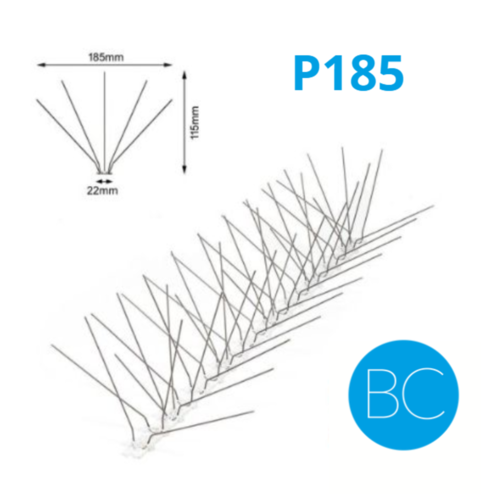 PICS PIGEONS BC CACTUS P185 25M